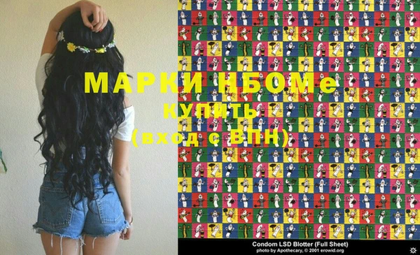 СК Елизово