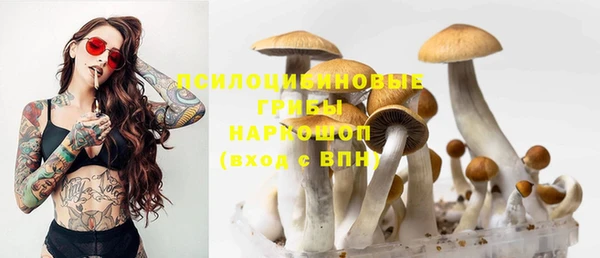 СК Елизово
