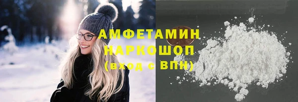 гидра Елабуга