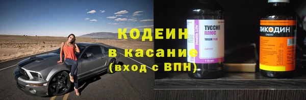 СК Елизово