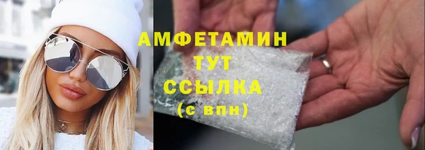 гидра Елабуга