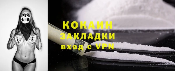 гидра Елабуга