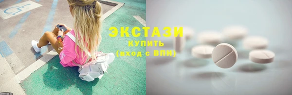 гидра Елабуга