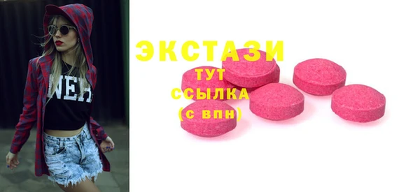гидра Елабуга