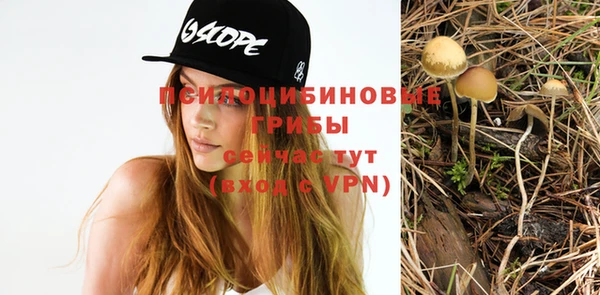 альфа пвп Ельня