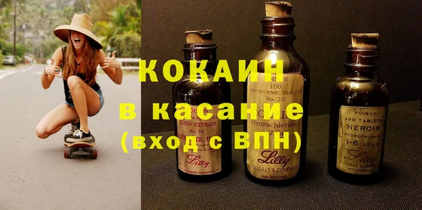 СК Елизово