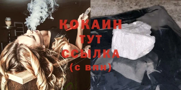 гидра Елабуга