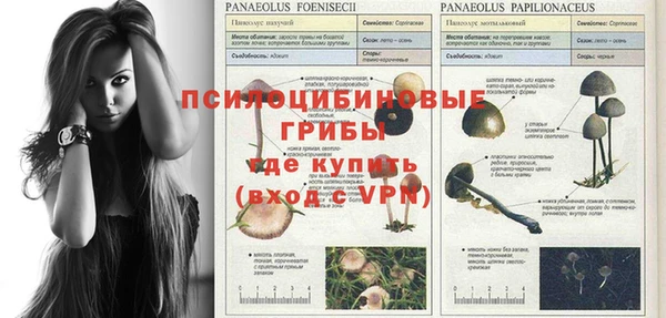 альфа пвп Ельня