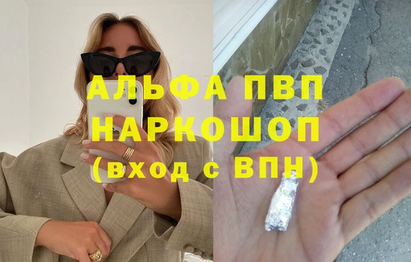 СК Елизово
