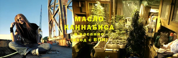 гидра Елабуга