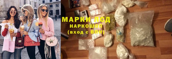 гидра Елабуга