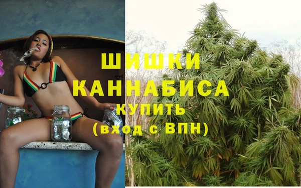 гидра Елабуга