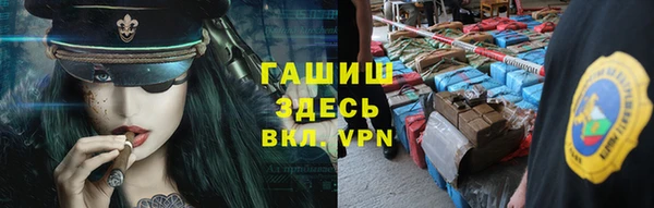 СК Елизово